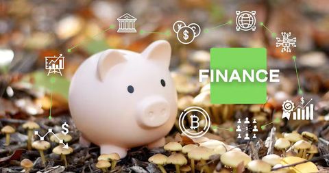 Fixed Deposits & Savings Plans Explained: Secure Investment Strategies & Smart Financial Growth